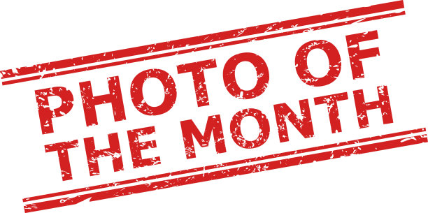 照片的月印章与腐蚀风格和图片下载