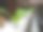 桌上盆栽植物特写镜头图片下载