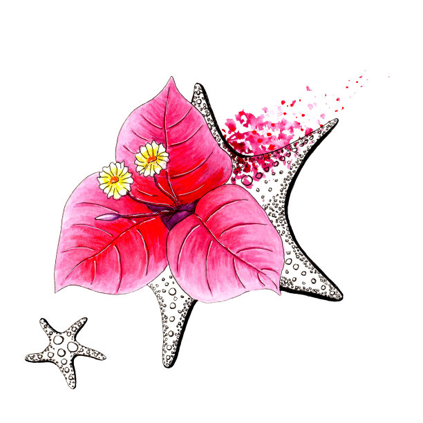 叶子花属图片下载