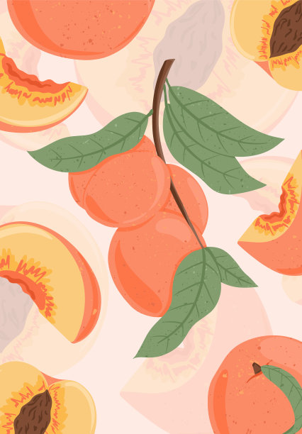 成熟的桃子挂在树枝上，结出甜甜的油桃果实图片下载