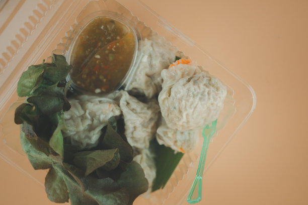 外卖食品水饺用新鲜蔬菜用塑料盒包装。准备吃图片下载