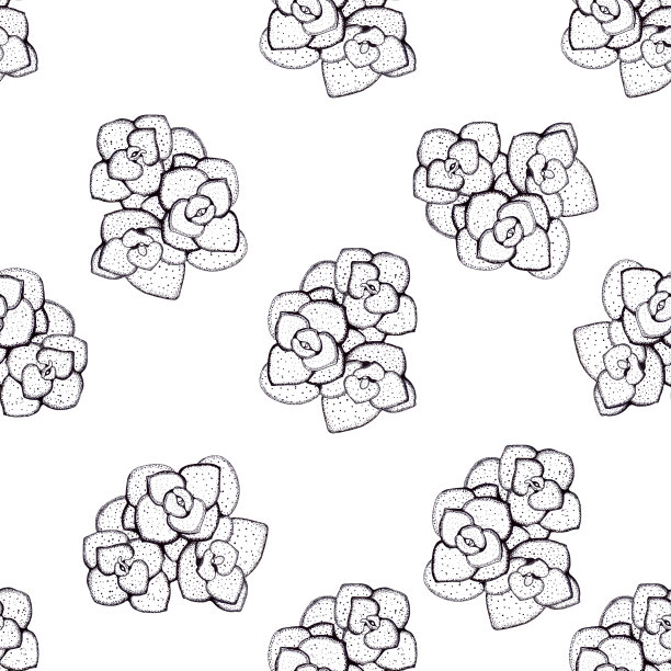 多汁。白色背景上的装饰图形构图抽象的背景图像。使用印刷材料、标志、物品、网站、地图、海报、明信片。图片下载