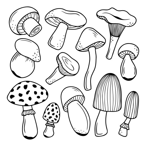 一组手绘蘑菇孤立在白色的背景。涂鸦，简单的大纲插图。可用于纺织品、纸张等表面的装饰。图片下载