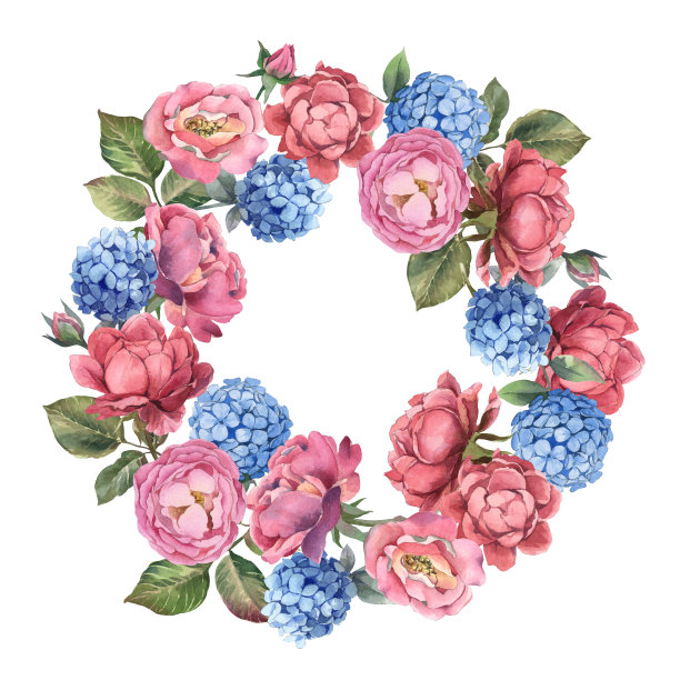 水彩花环粉红玫瑰和蓝色绣球与叶子在白色的背景。破旧的风格的花。图片下载