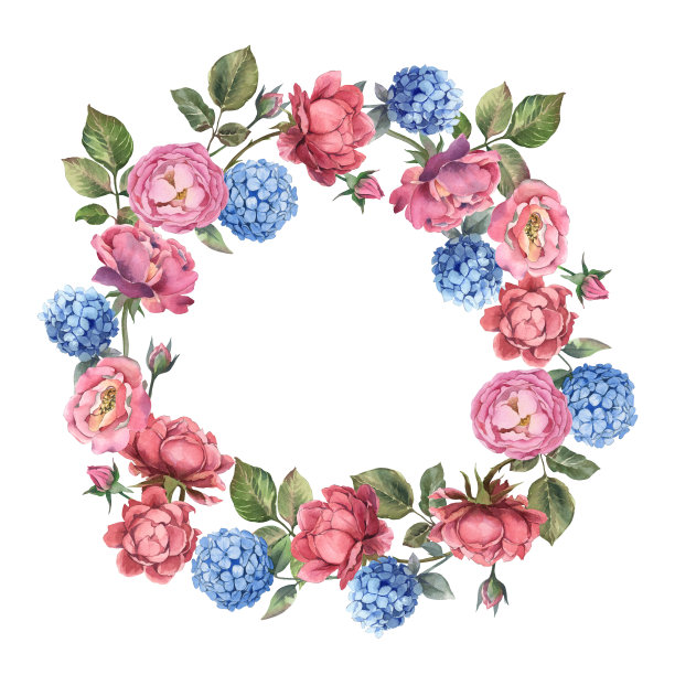水彩花环粉红玫瑰和蓝色绣球与叶子在白色的背景。破旧的风格的花。图片下载
