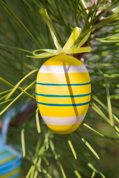 松枝上的复活节彩蛋。在一年中的宗教节日那天，把鸡蛋放在节日餐桌上。复活节是基督教的节日，是为了纪念人们对耶稣基督复活的信仰。图片下载