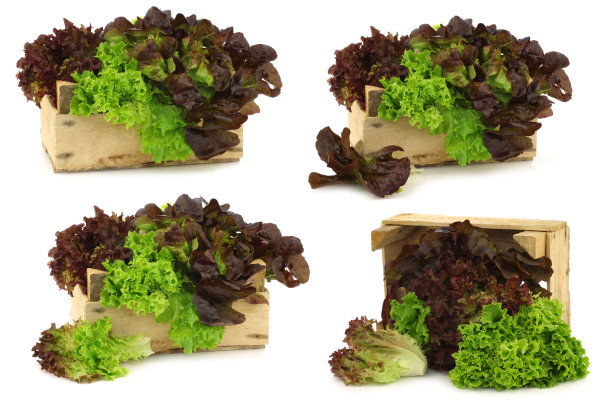装在木箱里的什锦莴苣图片下载