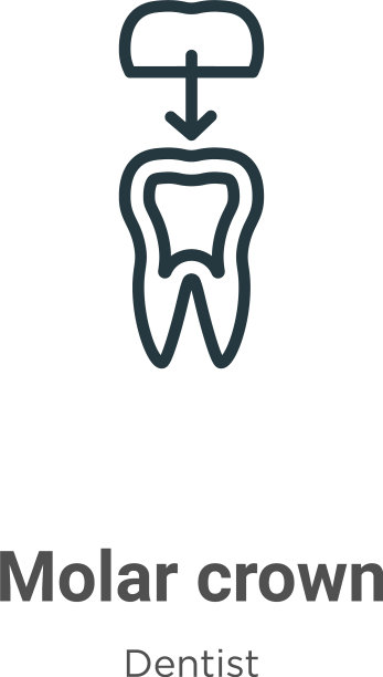 臼齿冠轮廓图标细线黑臼齿图片下载