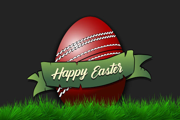 复活节快乐。鸡蛋做成板球的形状图片下载