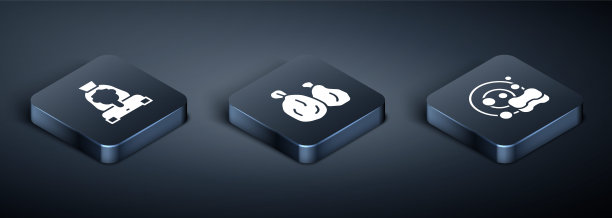 设置等距清洁女士服务，洗碗和垃圾袋图标。向量图片下载