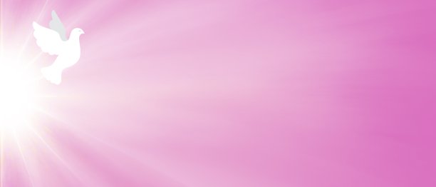 白色的鸽子。辐射的十字架。灵性。的信仰。希望。爱。自由图片下载