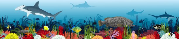 矢量水下珊瑚礁水平无缝模式。海底纹理与色彩斑斓的热带鱼和鲨鱼图片下载