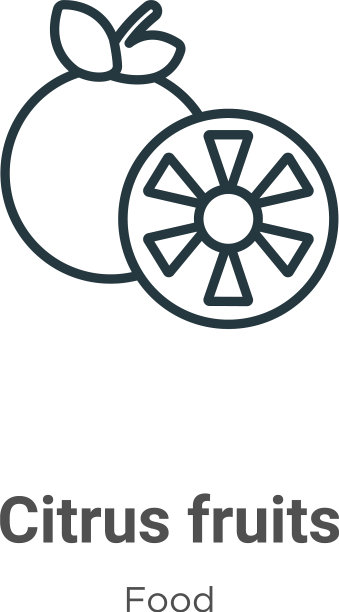 柑橘类水果轮廓图标细线黑柑橘图片下载