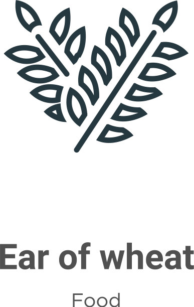 穗小麦轮廓图标细线黑穗的图片下载