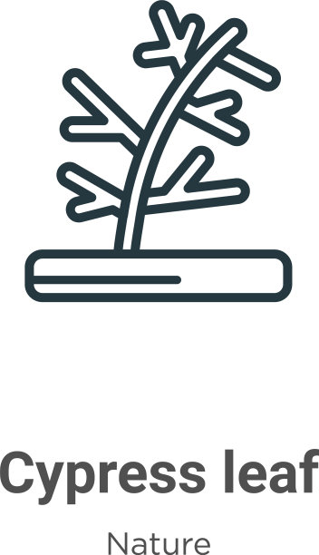 柏树叶轮廓图标细线黑柏树图片下载