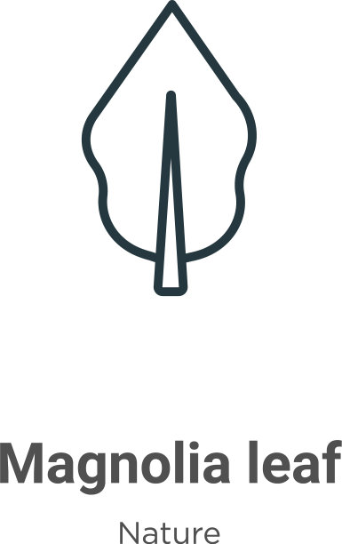 木兰叶轮廓图标细线黑色图片下载