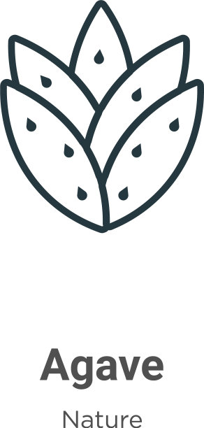 龙舌兰轮廓图标细线黑色龙舌兰图标图片下载