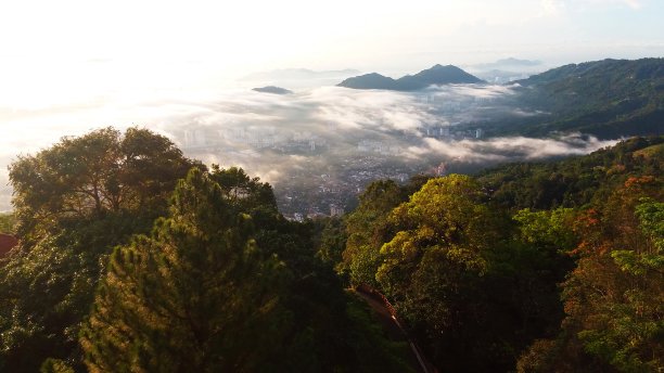 顶视图槟城马来西亚图片下载