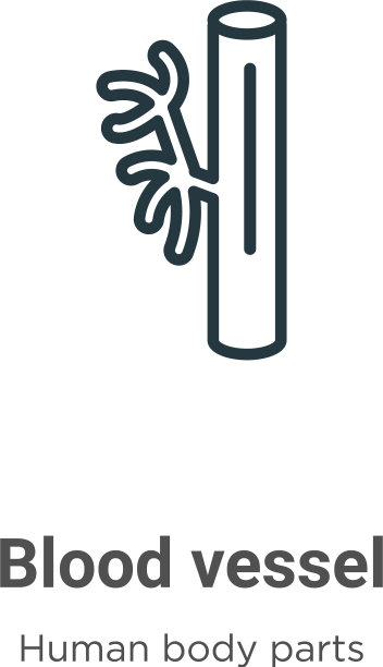 血管轮廓图标细线黑血图片下载