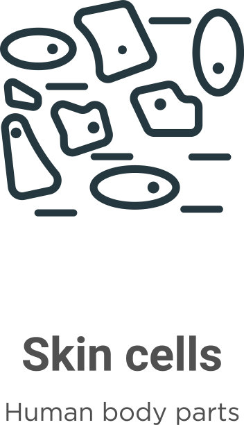 皮肤细胞轮廓图标细线黑皮肤图片下载