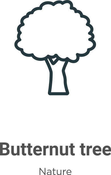 胡桃树轮廓图标细线黑色图片下载