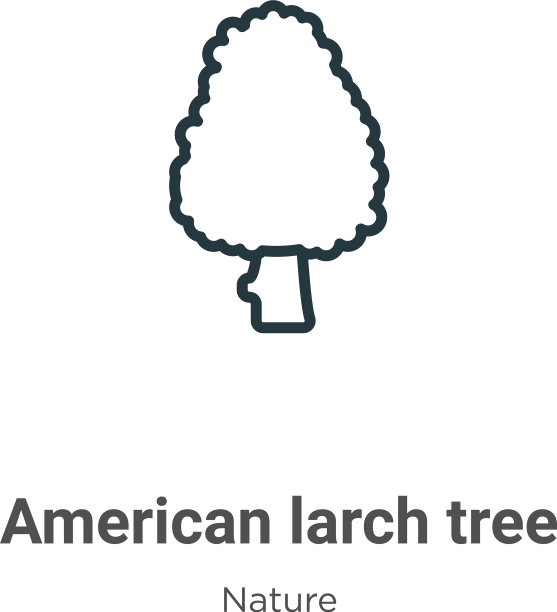 美国落叶松树轮廓图标细线黑色图片下载