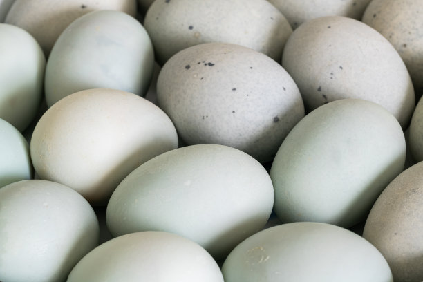 咸鸭蛋或皮蛋图片下载