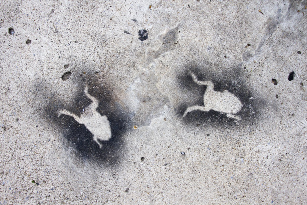 青蛙图案与黑色喷雾，贴近水泥地面纹理。图片下载