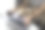狗把嘴套在笔记本电脑上图片下载