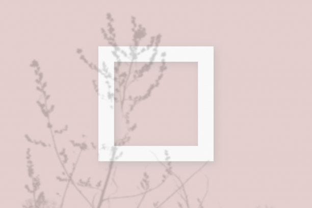 模型与蔬菜阴影叠加在方形框架纹理白纸上的粉红色桌子的背景图片下载