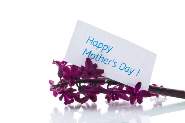 一束漂亮的春天鲜花，代表对母亲的祝贺图片下载