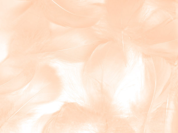 美丽抽象的白色和棕色羽毛上的白色背景和柔软的黄色羽毛纹理上的白色图案和黄色背景，羽毛背景，金色羽毛横幅，棕色纹理图片下载