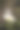 一个白色海葵的地面视图微距照片图片下载