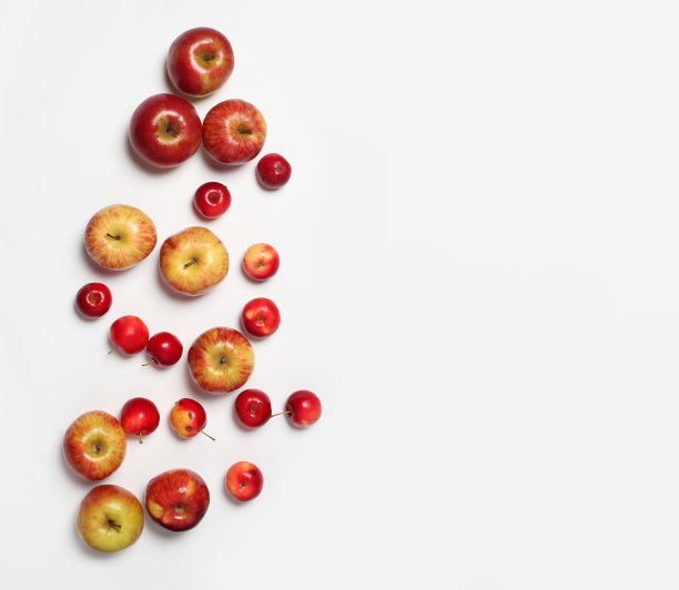 许多不同的分散的苹果孤立在白色的背景上图片下载