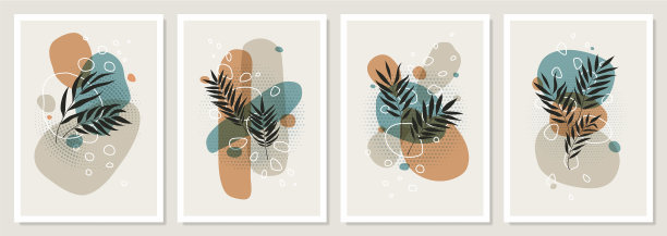 集合拼贴热带树叶和彩色图片下载