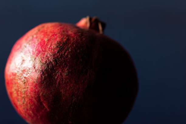 石榴的果实，在昏暗的蓝光下图片下载