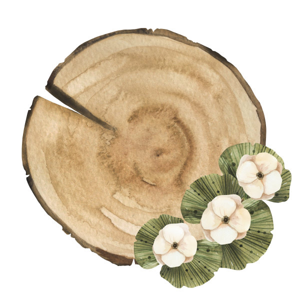 木板水彩天然木片与银莲花花图片下载