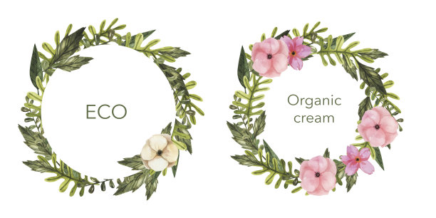 水彩花框架与银莲花草药蓓蕾集。图片下载