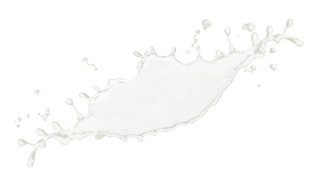 牛奶滴溅在白色的背景上。图片下载