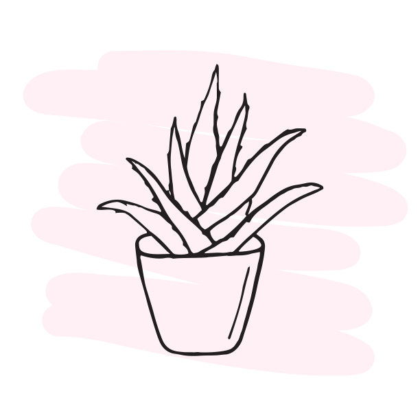 芦荟等高线绘制分开图片下载