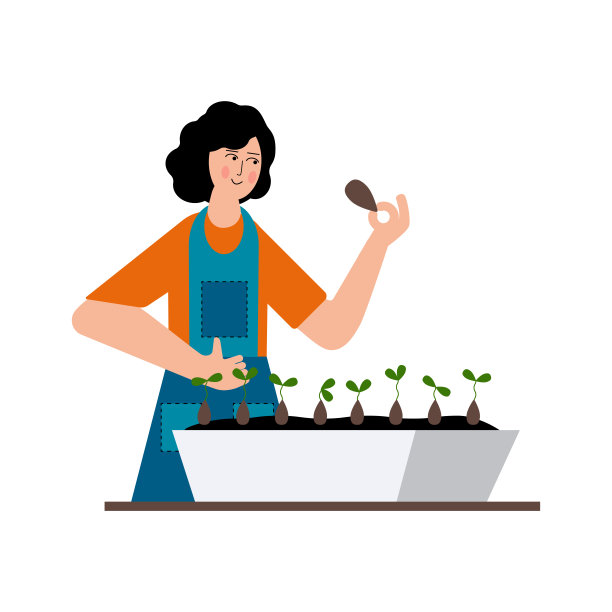 那个女孩正在播种育苗。家的花园。种子在家里发芽了。图片下载