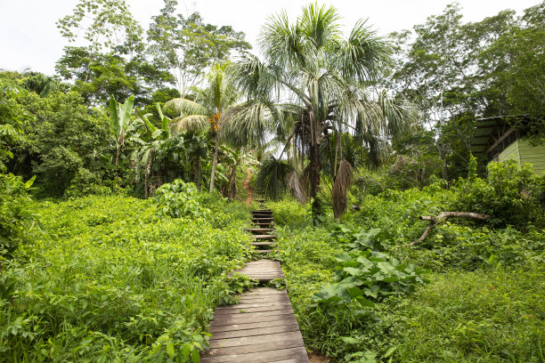 秘鲁亚马逊丛林社区入口图片。热带雨林小镇中的传统小镇。图片下载