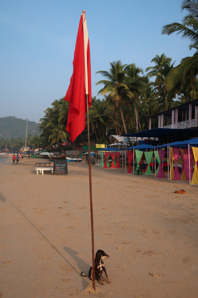 印度果阿巴洛勒姆海滩阳光下的沙滩小屋前，野生流浪印度小狗坐在红旗杆旁图片下载