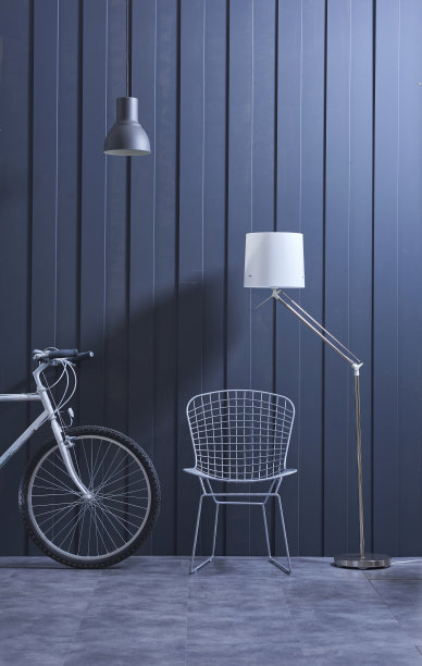 现代年轻的房间蓝色板条墙和自行车图片下载