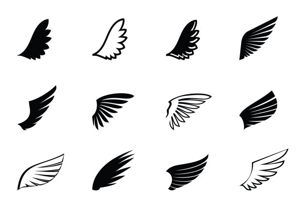 设置黑色翅膀和轮廓图片下载