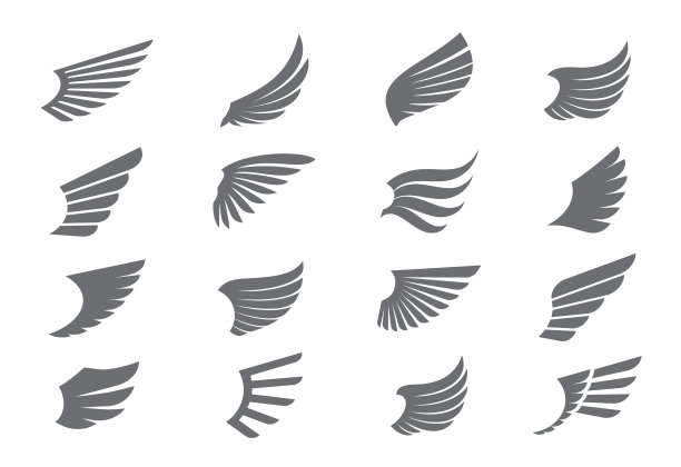 设置灰色翅膀和轮廓图标图片下载