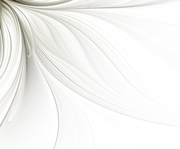 抽象的白色背景与花瓣分形的花图片下载