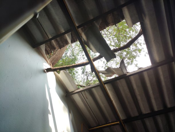 由于树枝掉进去而造成一个洞的屋顶图片下载