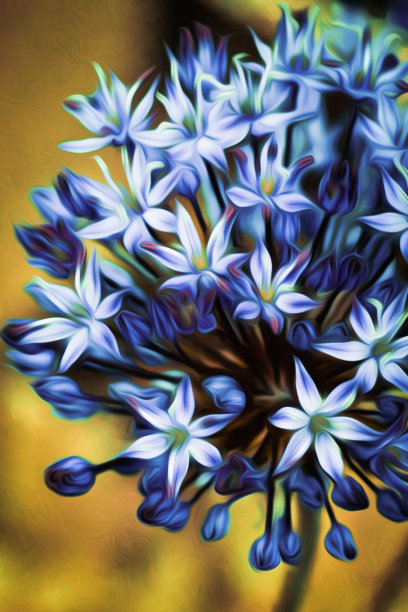 蓝色的油画在照片中描绘大自然在春天盛开的花朵图片下载