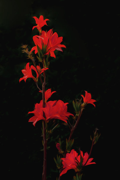 红色油画在照片中描绘了大自然春暖花开的景象图片下载